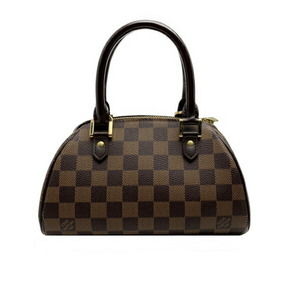 Louis Vuitton Handbag Damier Ribera